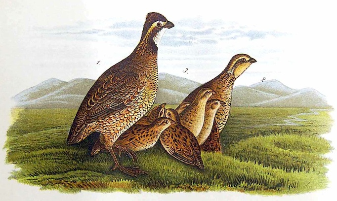 Republican Calendar tweet media