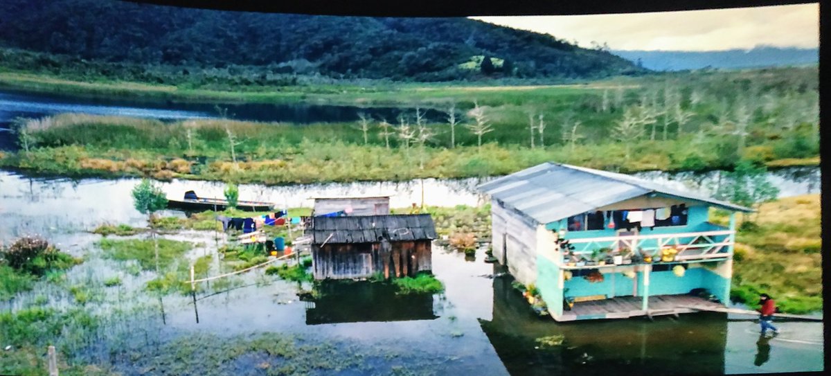 La sirga-2012- Willian Vega