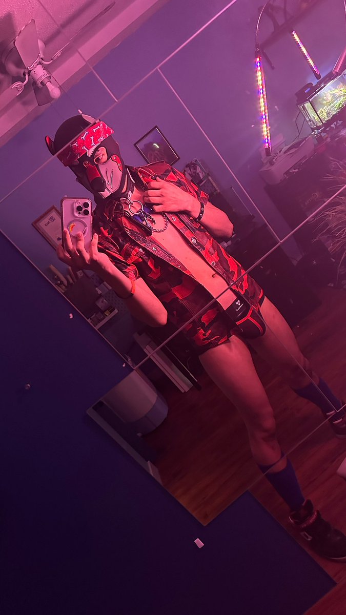 Pup_Rokruff's tweet photo. Mosh Ready! 🐶 https://t.co/9XLOKw7WIg