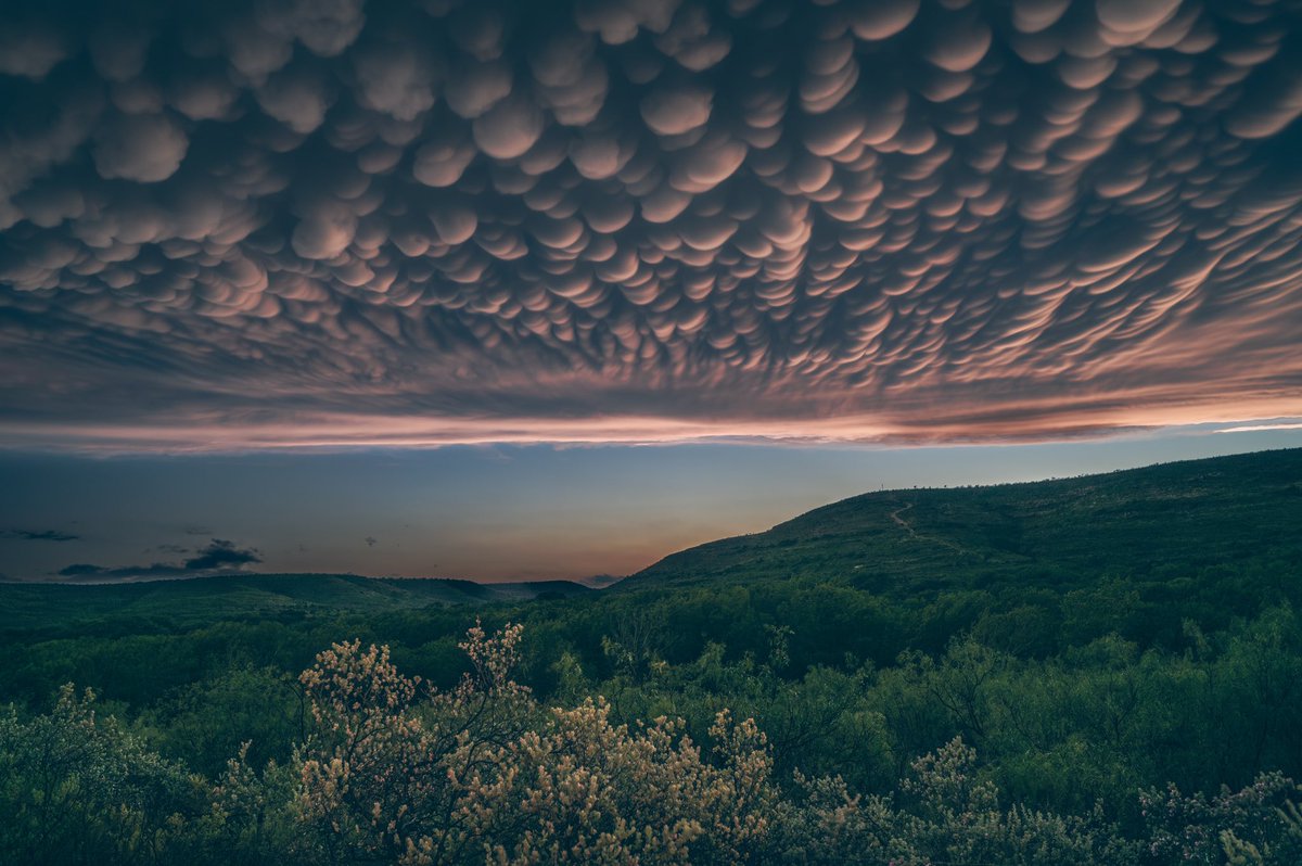 EdgarONealWX's tweet photo. Yeah I saw three tornados yesterday... But this Mammatus show at sunset was just as good! #txwx https://t.co/e2o10D0f2I