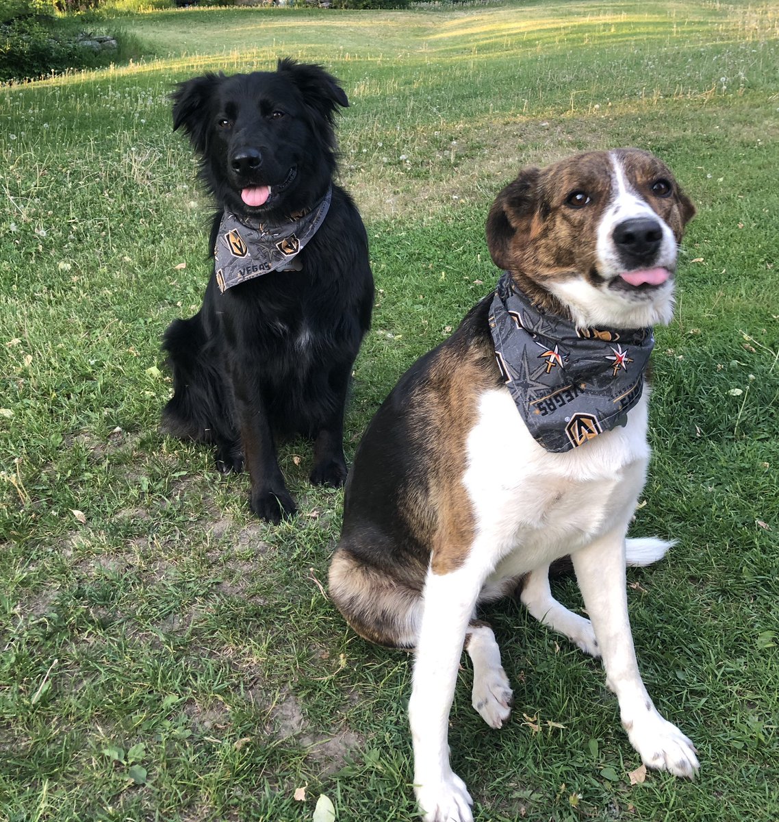 My cheering squad!! #LetsGoKnights #stanleycup #gameone #GameOn 
<a href="/GoldenKnights/">Vegas Golden Knights</a>