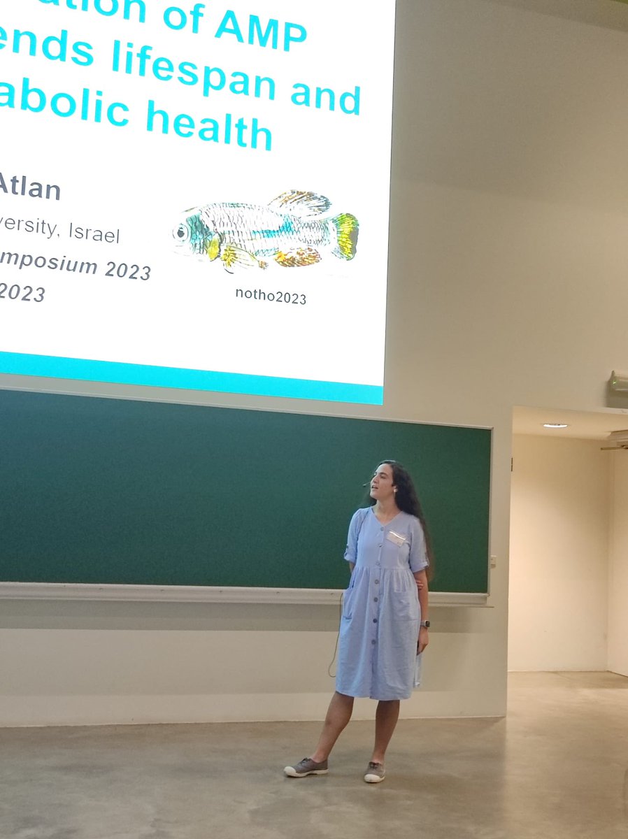 TehilaAtlan's tweet photo. I presented a talk at the https://t.co/yyufTFXK1X meeting on the last Friday. I was waiting and afraid of this for almost a month, but in the end, I bit enjoyed being on the stage🙂. Thanks to the people who were with me on this journey. @ItamarHarel https://t.co/EXuurAXutZ