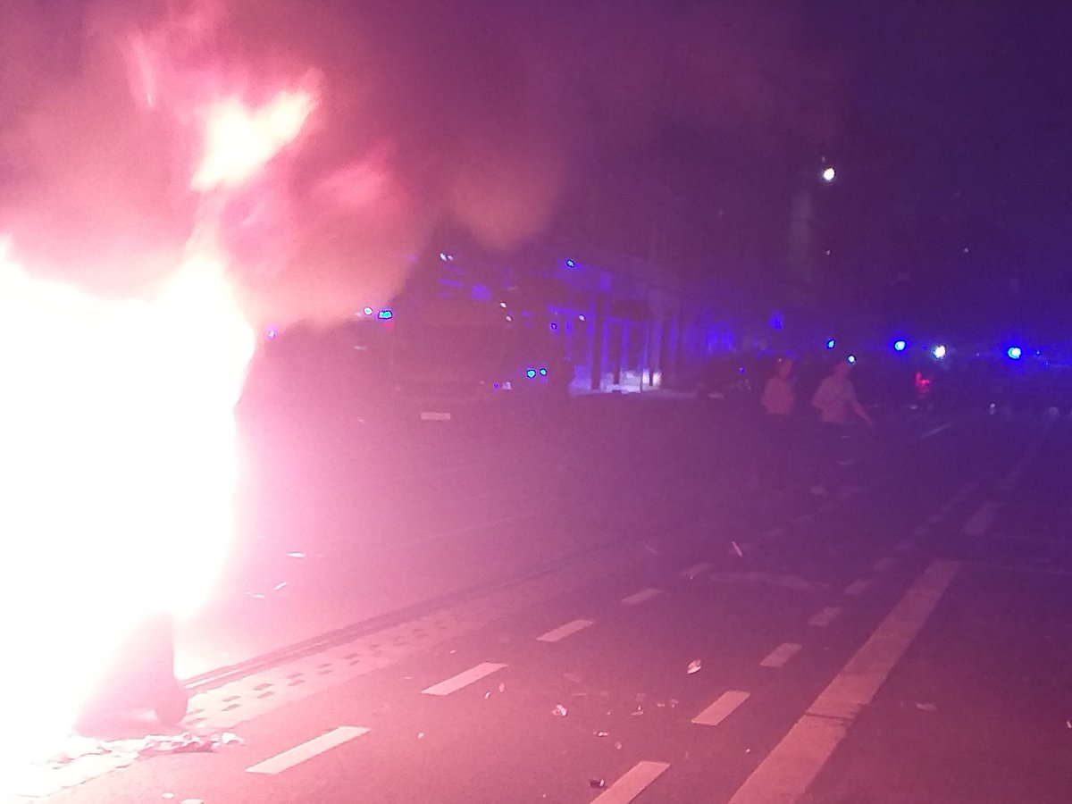 GiaFelino tweet media