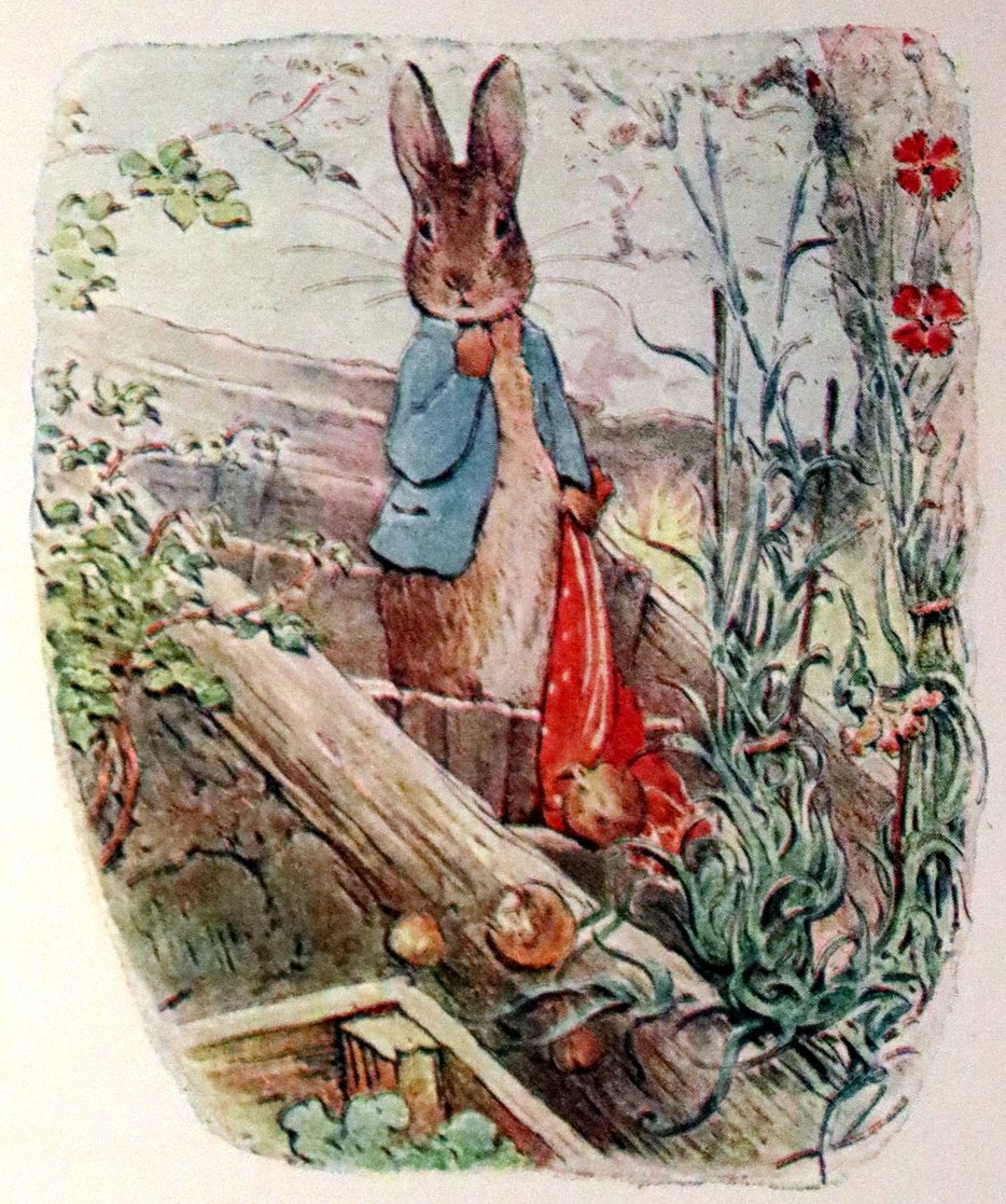 mflibra's tweet image. 1910 Rare Early Edition - Beatrix Potter - The Tale of Benjamin Bunny.
mflibra.com/collections/br…

#BookWithASoul #EarlyEdition #BeatrixPotter #BenjaminBunny #illustrated #bookworm #bookstore #booknerd #rarebooks #bibliophile