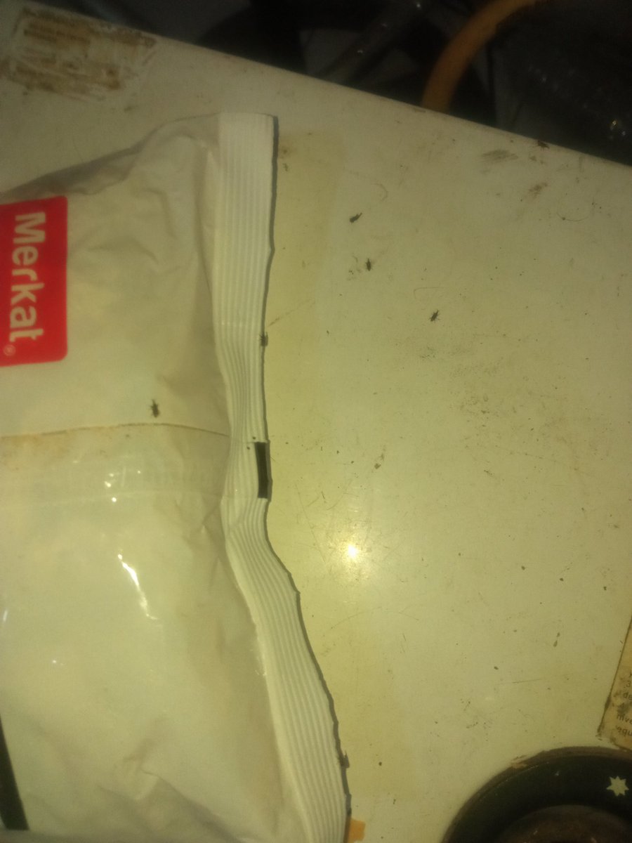 Alejandro_rt1's tweet photo. @LIDERcl  estos fideos que compré hace poco están con BICHOS Y PODRIDOS por dentro!! 
Y la fecha de venc. Es el 2024 y tengo varios fideos en la misma condición, alguna respuesta ? https://t.co/au4J0UJvv6