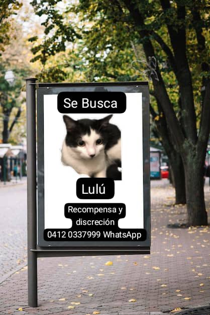 Gracilaria235's tweet photo. #3Jun.  Demasiada plata para decir se escapó  y Ya. No #Isolina NO #MascotasEstelares  #CarolinaCorona. No #CarmenSánchez  No #Buba ustedes se repartieron esa plata. Si lo saben verdad? O quieren sacar  cuentas? RESPONDAN ESTAFADORAS #LuluSomosTodos #DevuélvanALulu #Seguimos https://t.co/ImdNPcjIZR