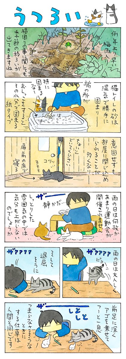 梅雨どき│フェリシモ猫部 