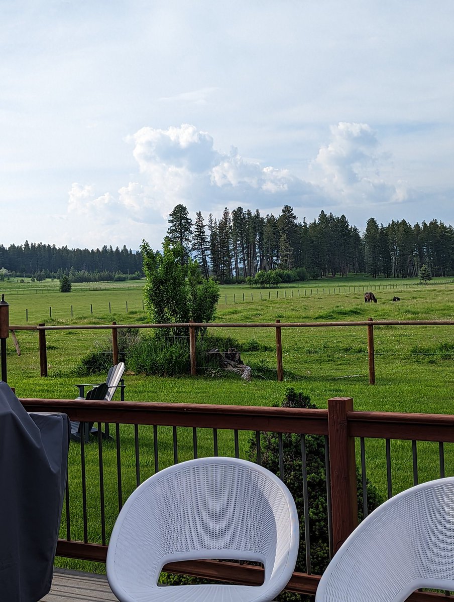 We made it to Montana! The view is pretty terrible 🤪