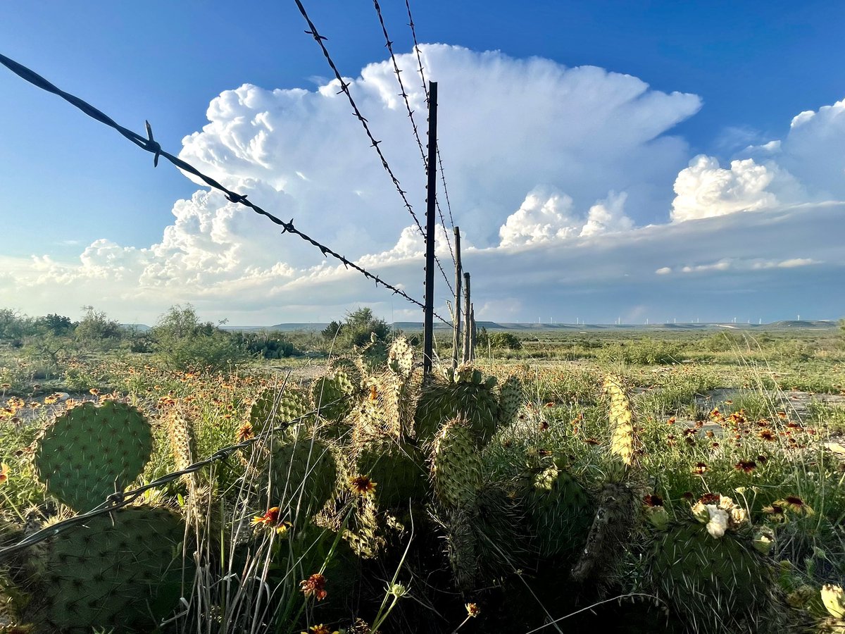 Screams Texas! #txwx