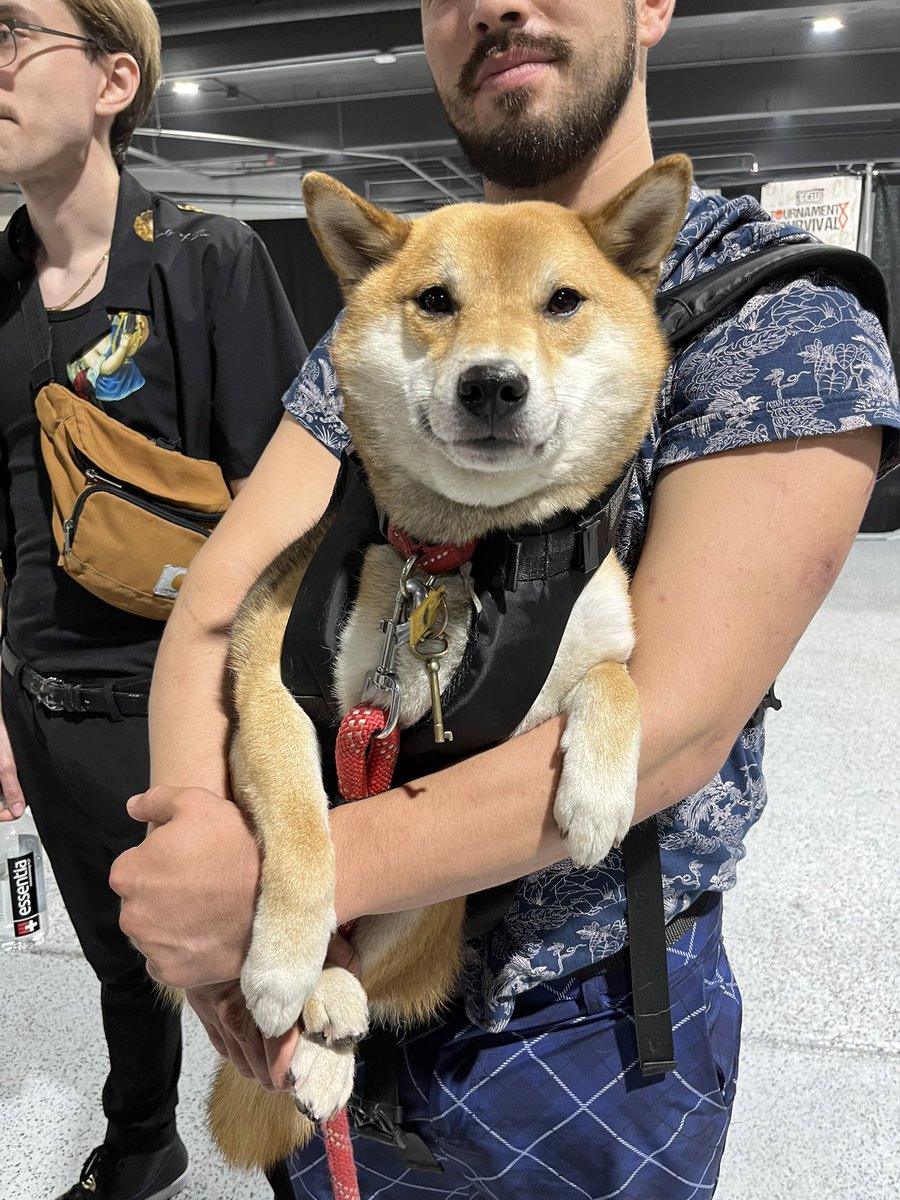 DISCODEATHMATCH's tweet photo. The real winner of #tos8 was this munchkin https://t.co/2zPEzIi81a
