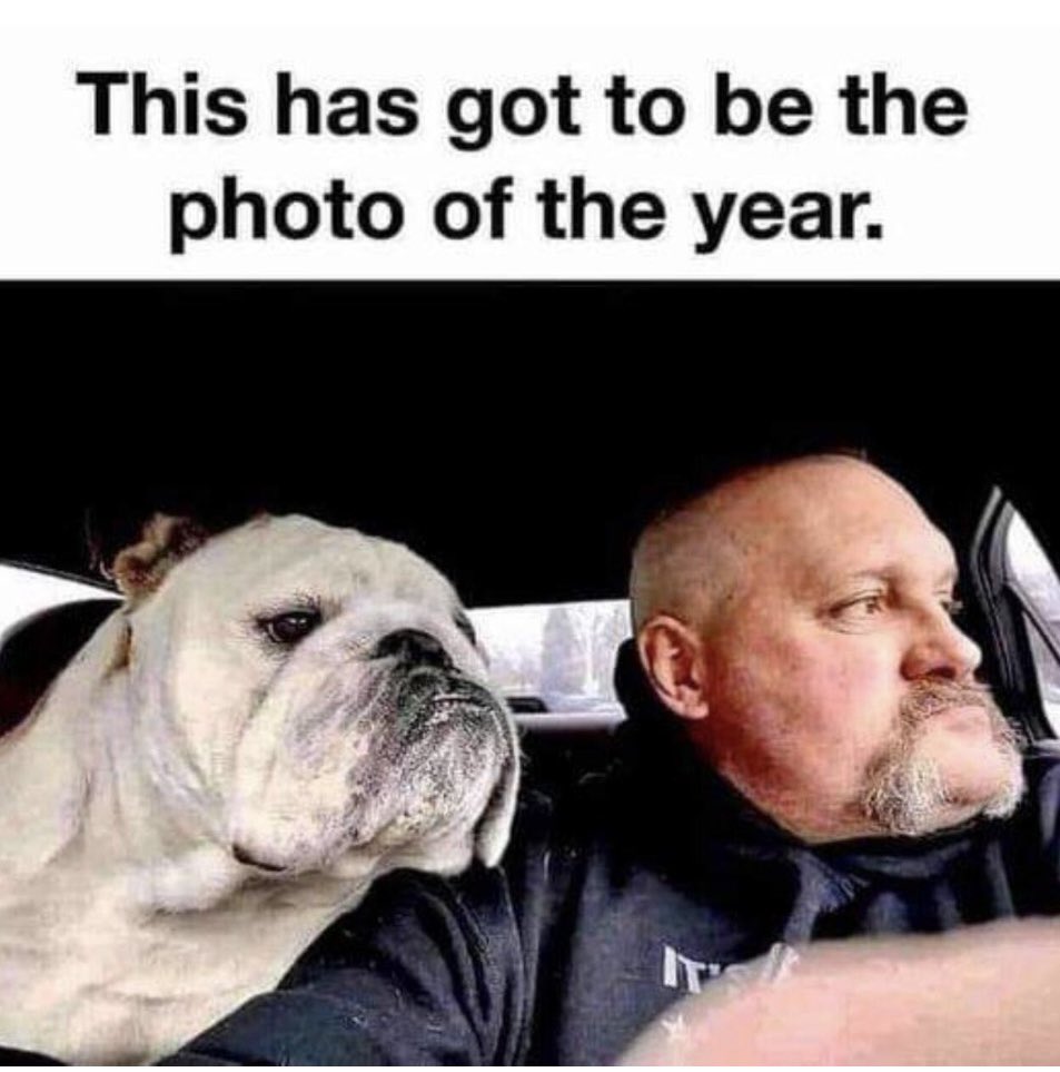 I vote for that award