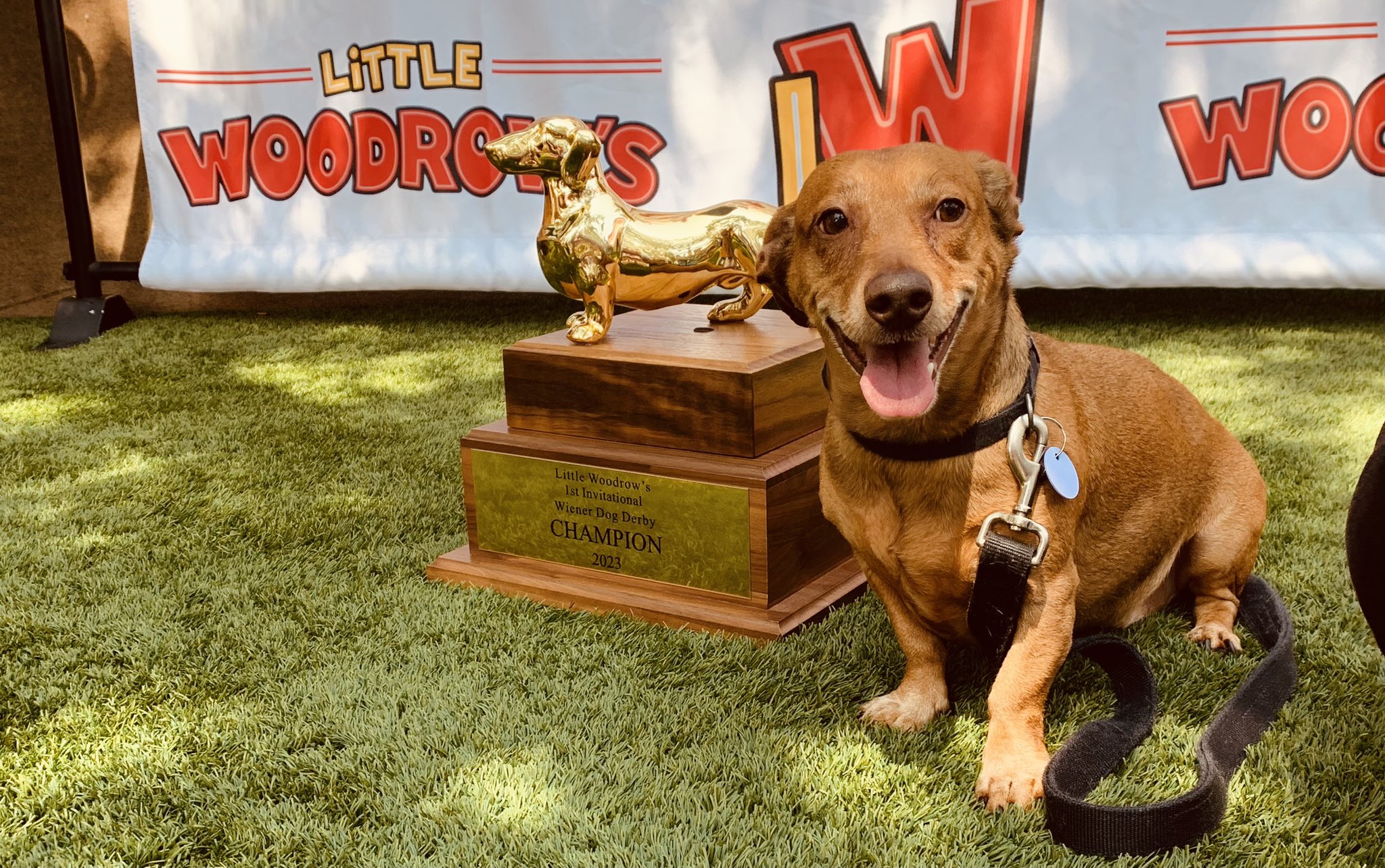 rudy koski on Twitter "That Golden Championship Feeling