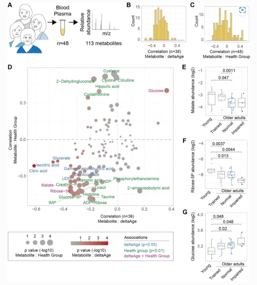 GeroScienceAGE's tweet photo. 📢New Open🔓Access Paper
A metabolomic signature of decelerated physiological aging in human plasma by Georges E. Janssens et al.
https://t.co/cjeW4aT0C2
@UvA_Amsterdam
#longevity #metabolomics #physiologicalaging #agingclock https://t.co/3LTVKPwsJt