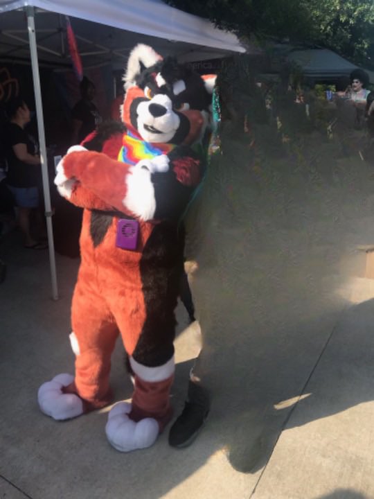 FoxFangLWolf's tweet photo. I met a fellow fur at Round Rock Pride today!!!!! @ReadyMcPanda Also sorry I’m not really good at photo editing. https://t.co/h3BSlVokTx