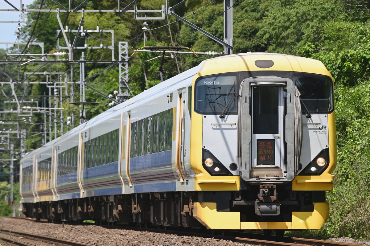 スギサコ on Twitter 