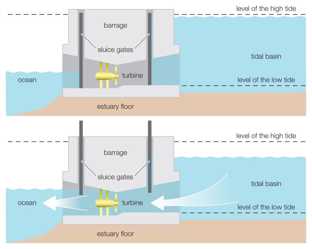 Tidal Barrages: A barrage is a barrier constructed across a tidal estuary or bay. It consists of turbines embedded within the structure. As the tide rises and falls, water passes through the barrage, spinning the turbines and generating electricity. #TidalEnergy