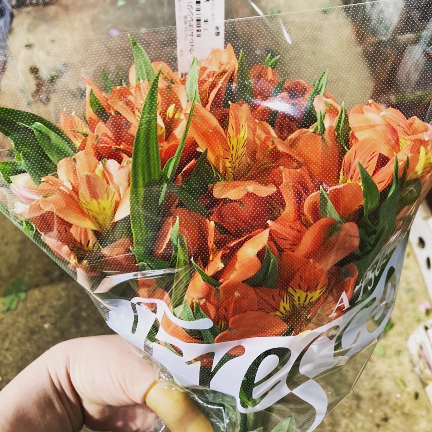 フローリストストウ (@floristsuto) / X
