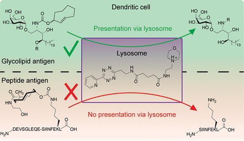 Top Science tweet media