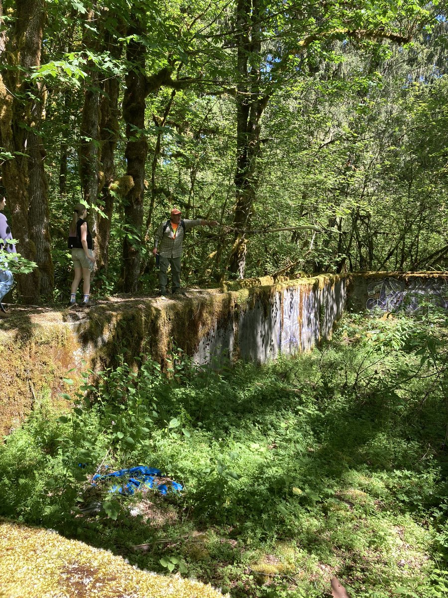 Our #UW Cultural Resource Management class hit the trails to check out the first heated swimming pool in WA. #CRM #Archaeology #NationalTrailsDay