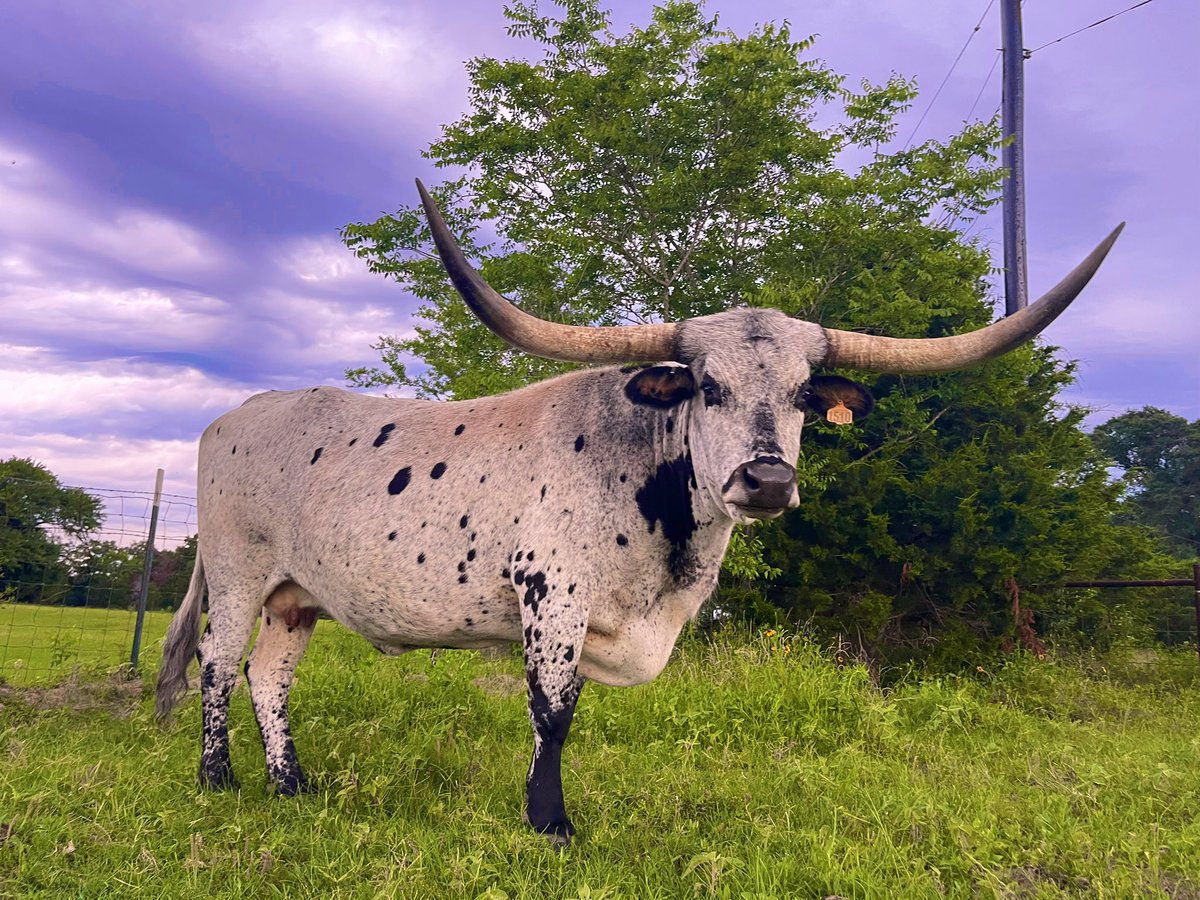 Her kind of weather ⚡️