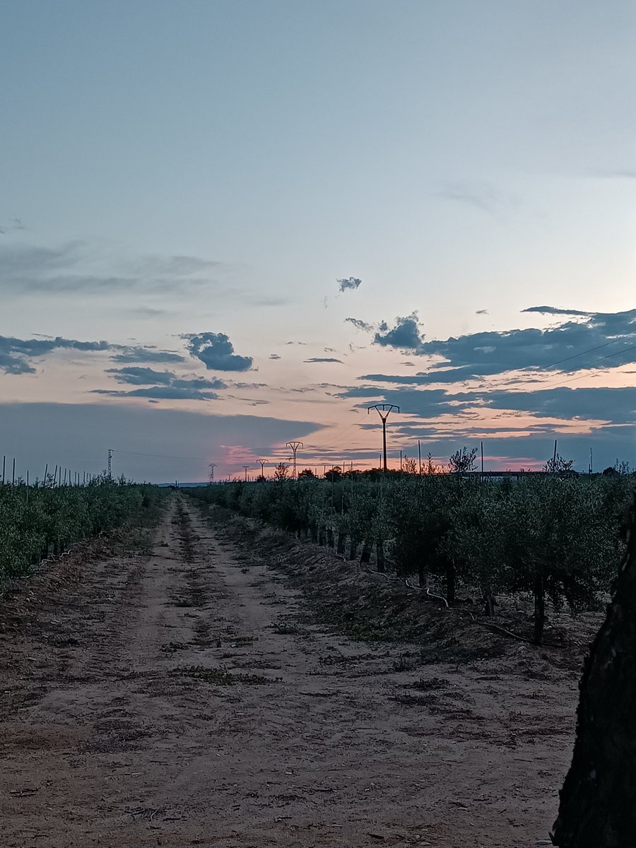 Alternix's tweet image. Que locura esto man