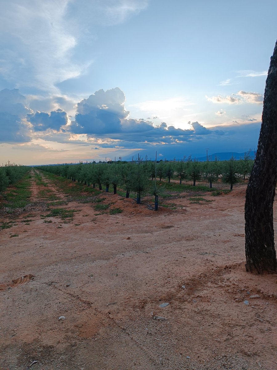 Alternix's tweet image. Que locura esto man