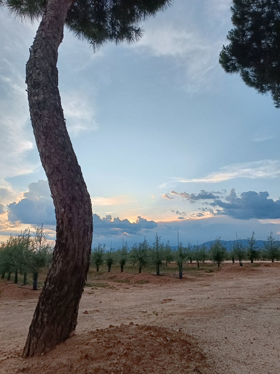 Alternix's tweet image. Que locura esto man