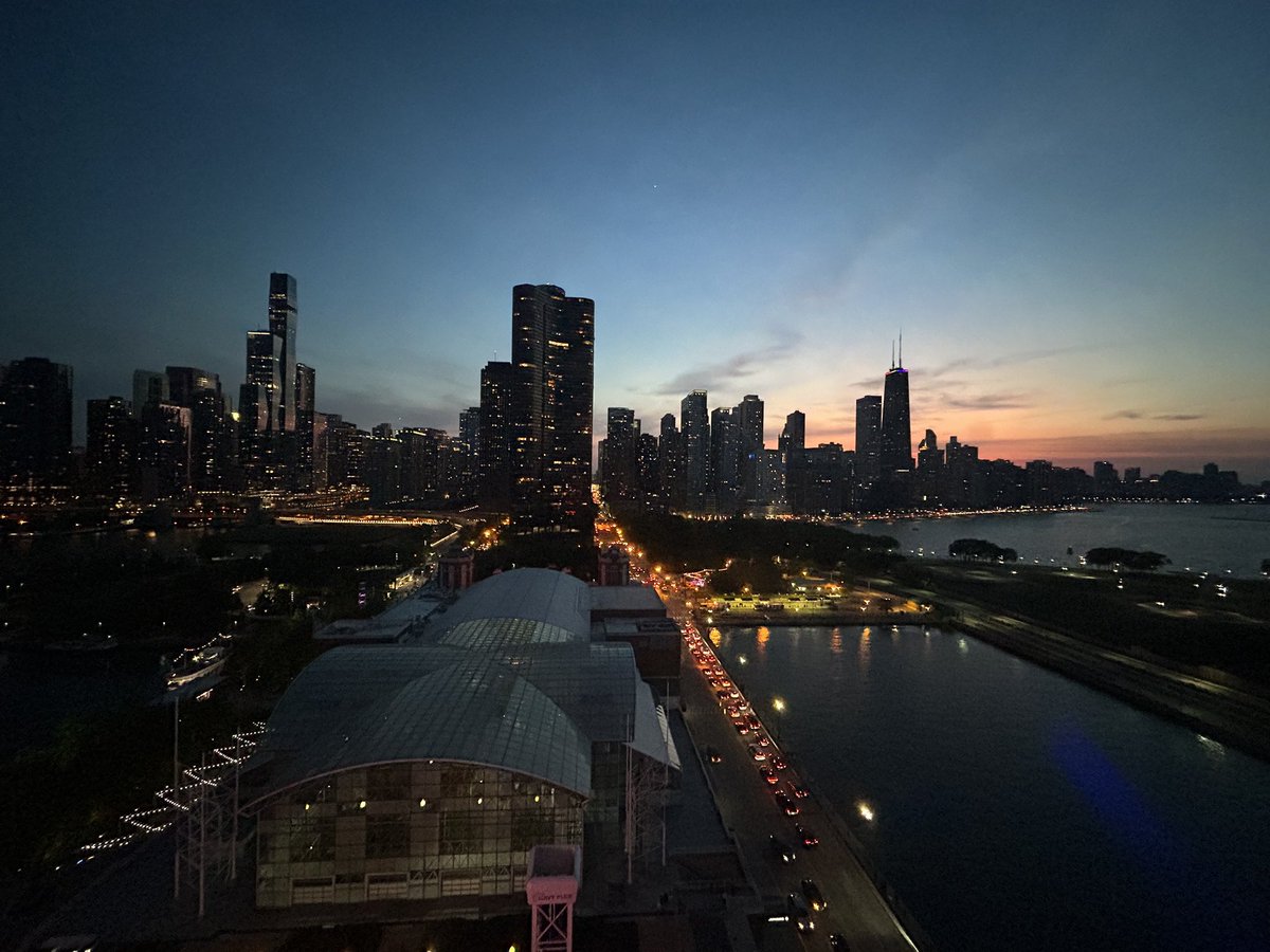 DrArturoAI's tweet image. Great times and views at the Navy Pier after such a productive day at #ASCO23 @MassiveBio @skurnaz