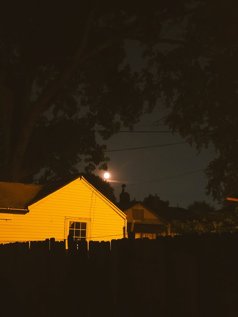 CamBrandle's tweet photo. the moon 😍😍 https://t.co/pivBOkwVGY