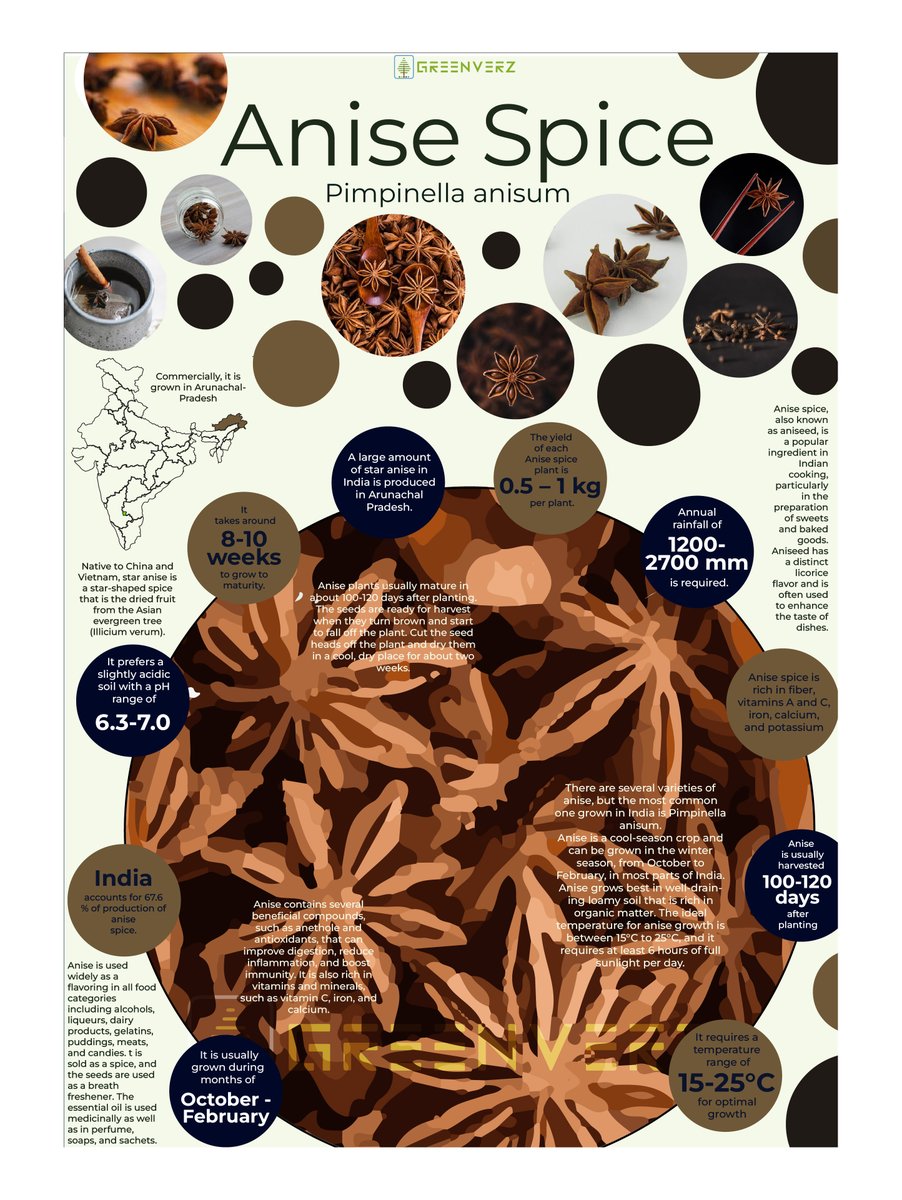 Anise Spice / Star Spice

#SpiceUpYourLife #FlavorfulJourney #SpiceHeaven #DeliciouslySpiced #TasteSensation #GourmetFlavors #AromaticDelights #CulinaryMagic #SpiceLover #KitchenEssentials #FlavorEnhancers #SavorTheFlavor #ExoticSpices #FoodieFinds #SpiceAddiction