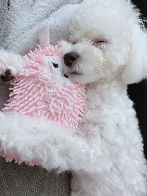 Twitterのコスプレ画像23