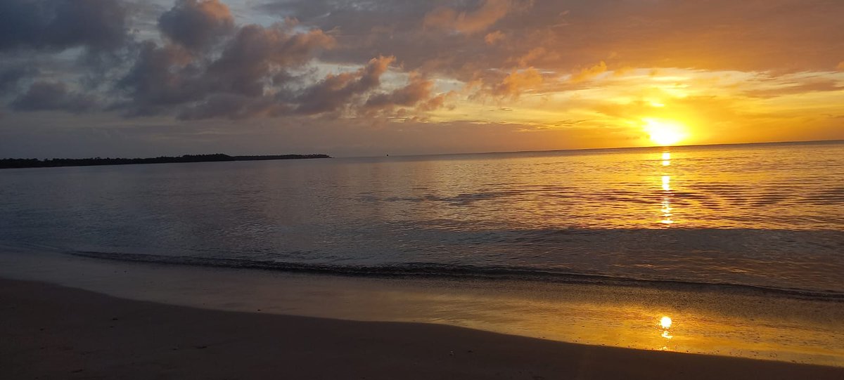 TTFNC's tweet photo. Nearly half way through our #TrinidadandTobago #bioblitz in beautiful #Buccoo! As the sun set, our teams switch from searching for seabirds, plants & butterflies, to owls, scorpions, frogs & nesting turtles... Meanwhile the botanists will be IDing their finds well into the night! https://t.co/WBLNo1n6lY