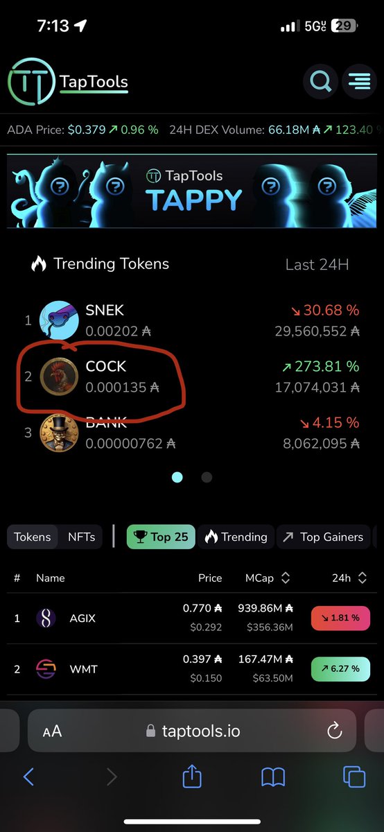 caesar_d_ape's tweet photo. Day 1: front page of taptools.

$COCK is the most memable token launched so far.

If you didn’t grab a bag, are you even in memfi summer? https://t.co/yjbScdZbwu