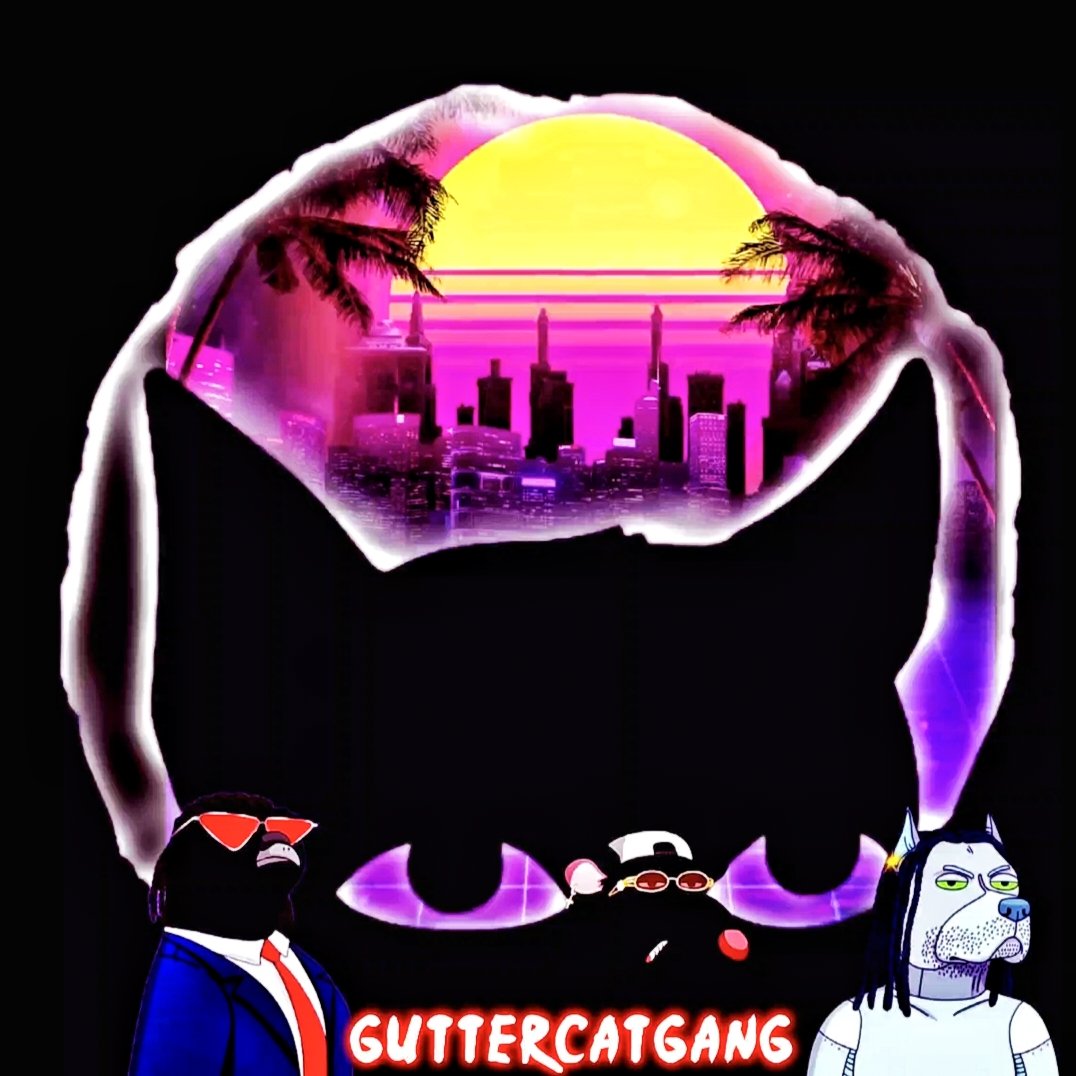 BounceBackOn2's tweet image. #KeepitGutter @GutterCatGang 💯💪