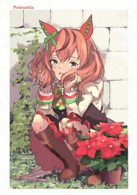 Poinsettia.