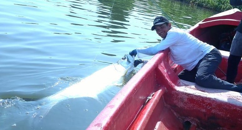 Tarpon Fishing here in my village river in NICARAGUA...come and fish with me and my team members...#TarponFishingNicaragua #TarponFishing #PermitFishing #SnooksFishing #Bonefish