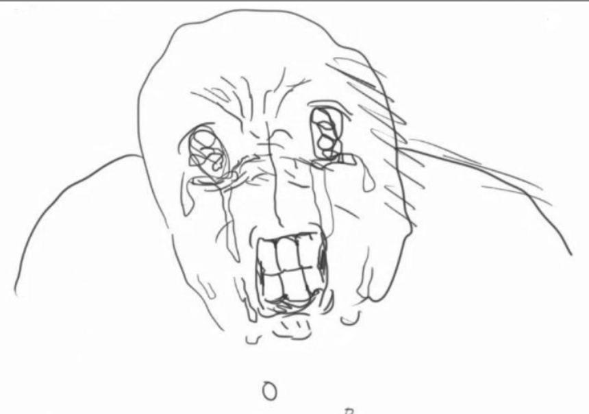 bonk ☆ tweet media