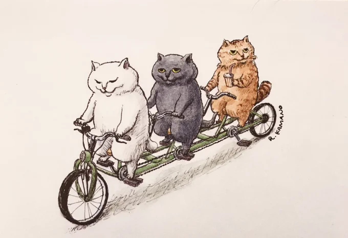 外で過ごしたくなる、さわやかなお天気です。 