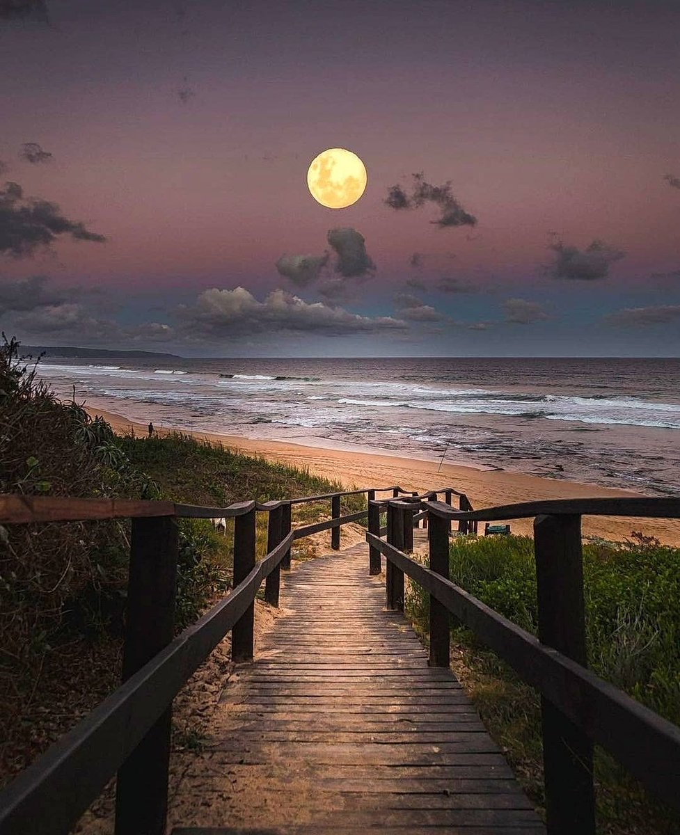 WorldCitizenLA's tweet photo. It's a Strawberry Moon tonight... https://t.co/dblN4SAFO8