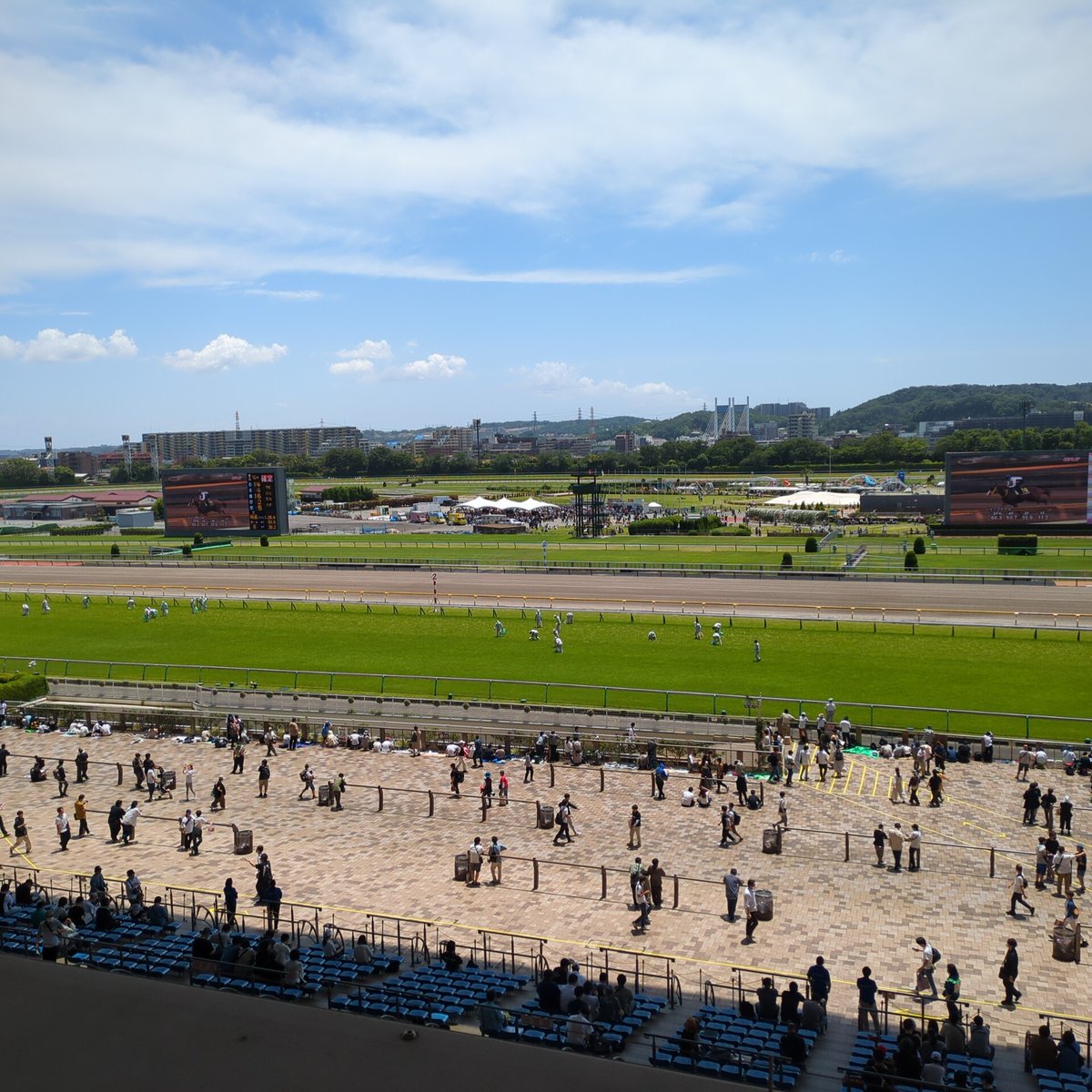 fuchutaro11's tweet photo. フェブラリーステークス以来の東京競馬場。指定席 https://t.co/75zbWh2knG