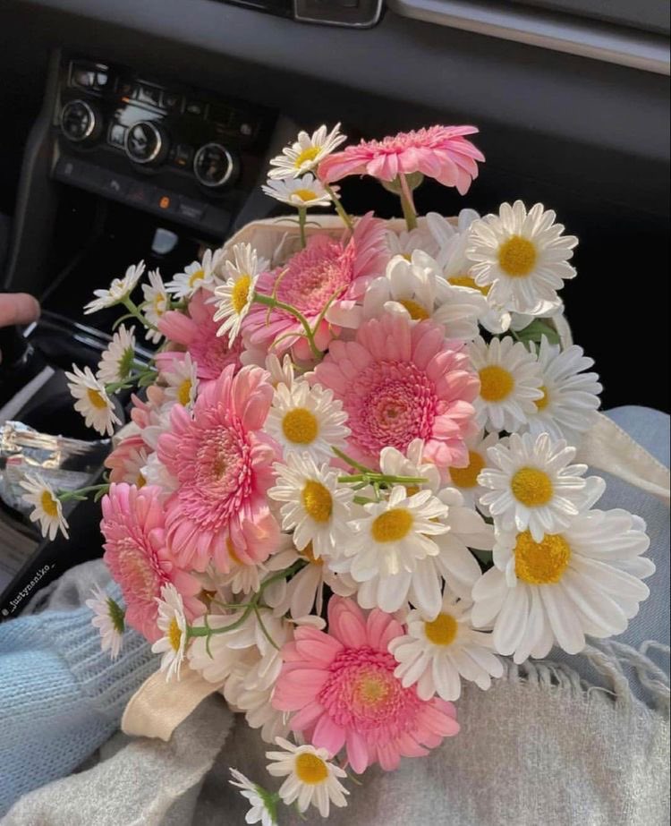 beautifulfaries's tweet photo. I didn't know what flowers to get you so I got a few different ones i Haven't stopped smiling since you came back ily https://t.co/ztlKjCAkK3