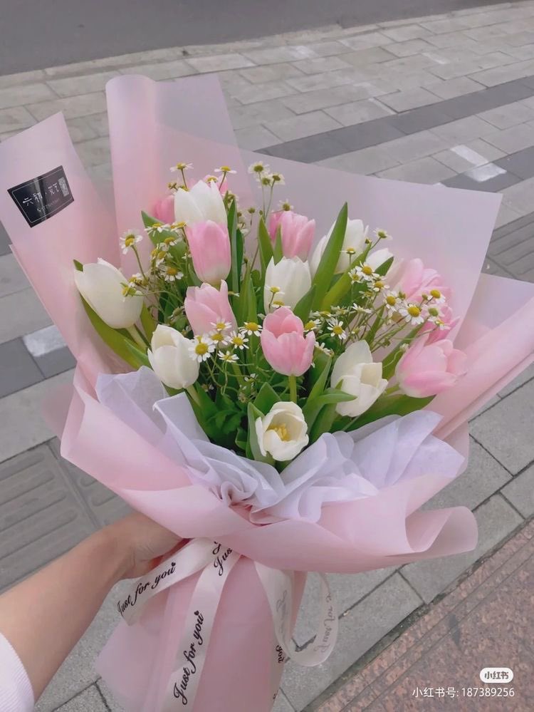 beautifulfaries's tweet photo. I didn't know what flowers to get you so I got a few different ones i Haven't stopped smiling since you came back ily https://t.co/ztlKjCAkK3