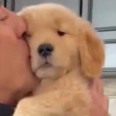 ขอหอมหนุ่งที