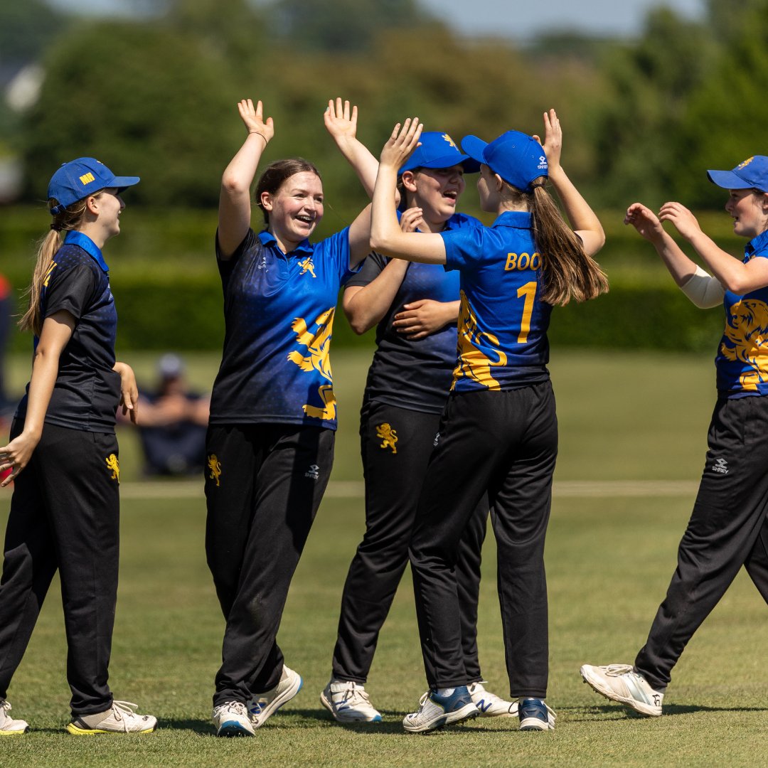 Happy #DevonDay everyone! 💙 📸 @mlockettphoto #DevonCricket