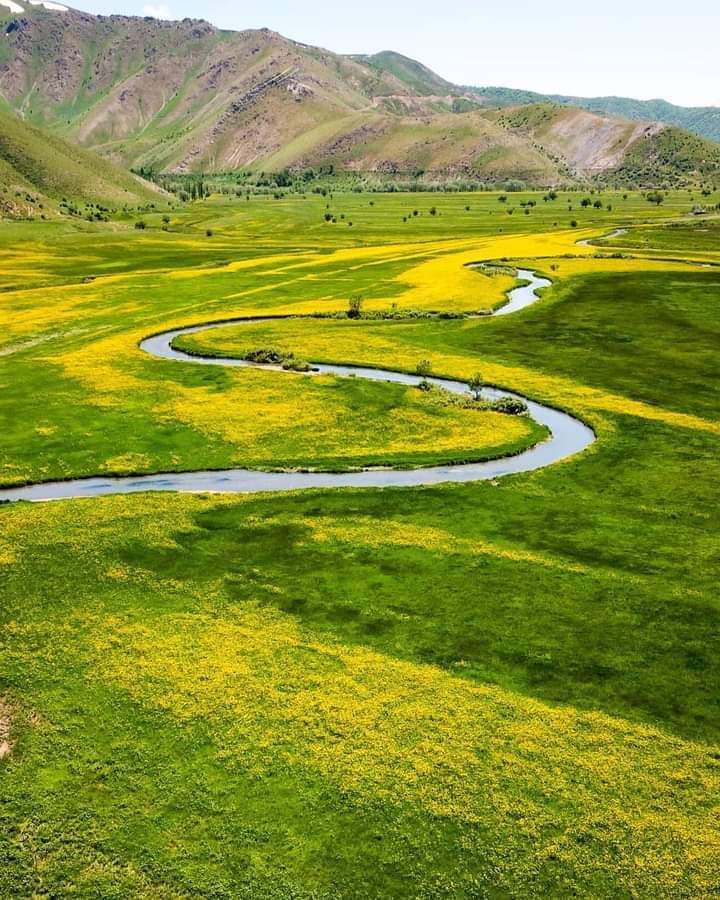 Güzeldere Yaylası.. 💛

-Bitlis