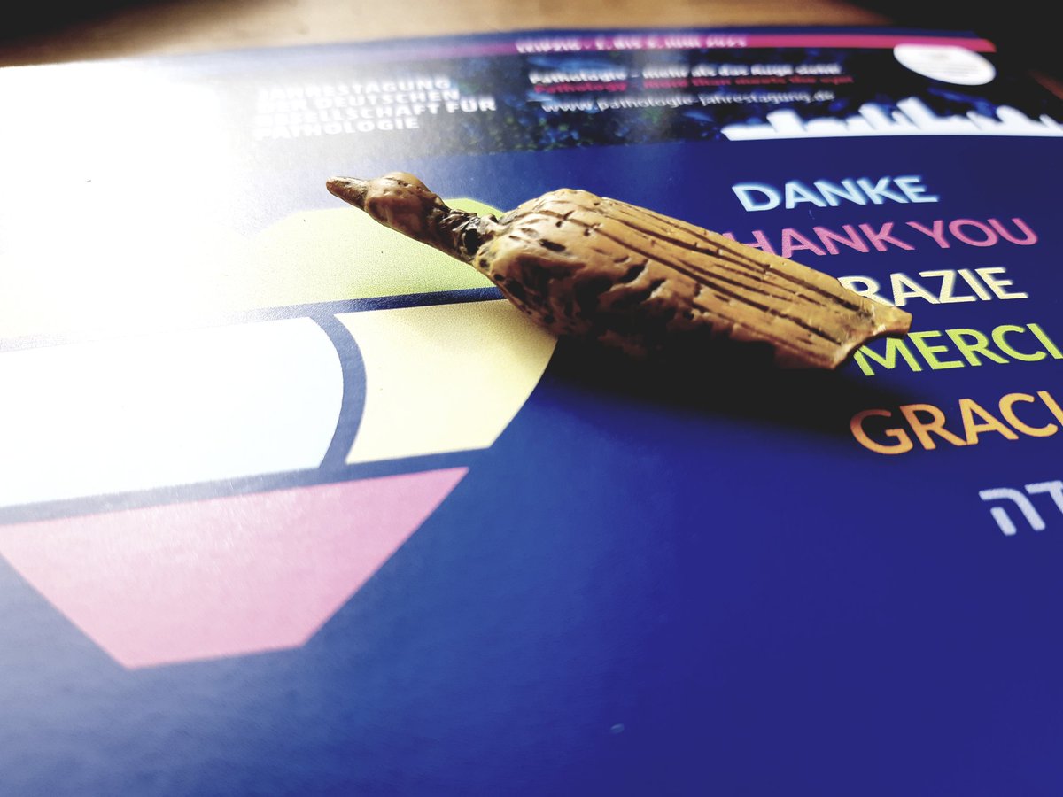 nice gift from the german society of pathology for my participation in the joint eahp/gsp meeting. It looks like an ancient duck...