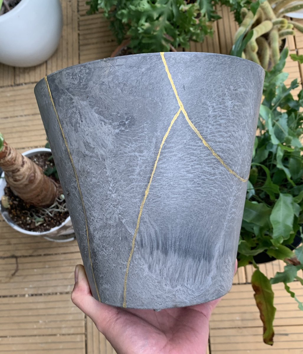 鉢割れ 根詰まりが酷くて鉢を割らないと植替えできない状態だったので、割って