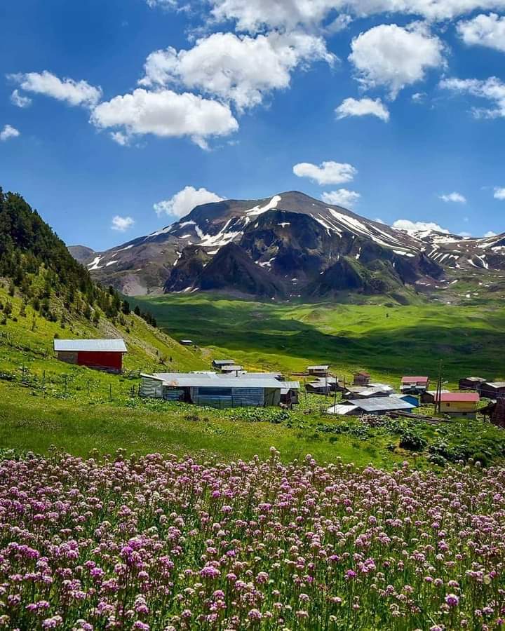 Arsiyan Yaylası
#Artvin