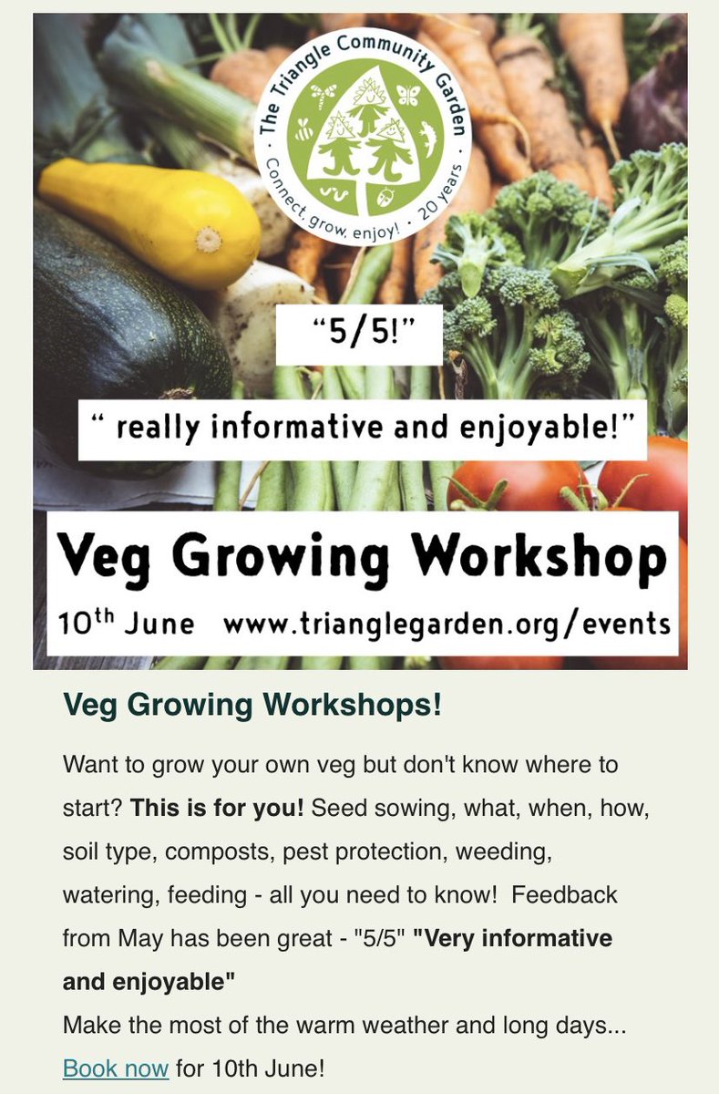 triangle_garden's tweet photo. Toot toot! Our latest newsletter is out with loads of exciting activities coming up! Like our veg workshops and volunteer mornings! 
Not forgetting our foraging walks and teen bushcraft nights with Triangle Tribe! 
Read the full newsletter here
https://t.co/egWoy5kXRp #hitchin https://t.co/3ylHQyjcGd