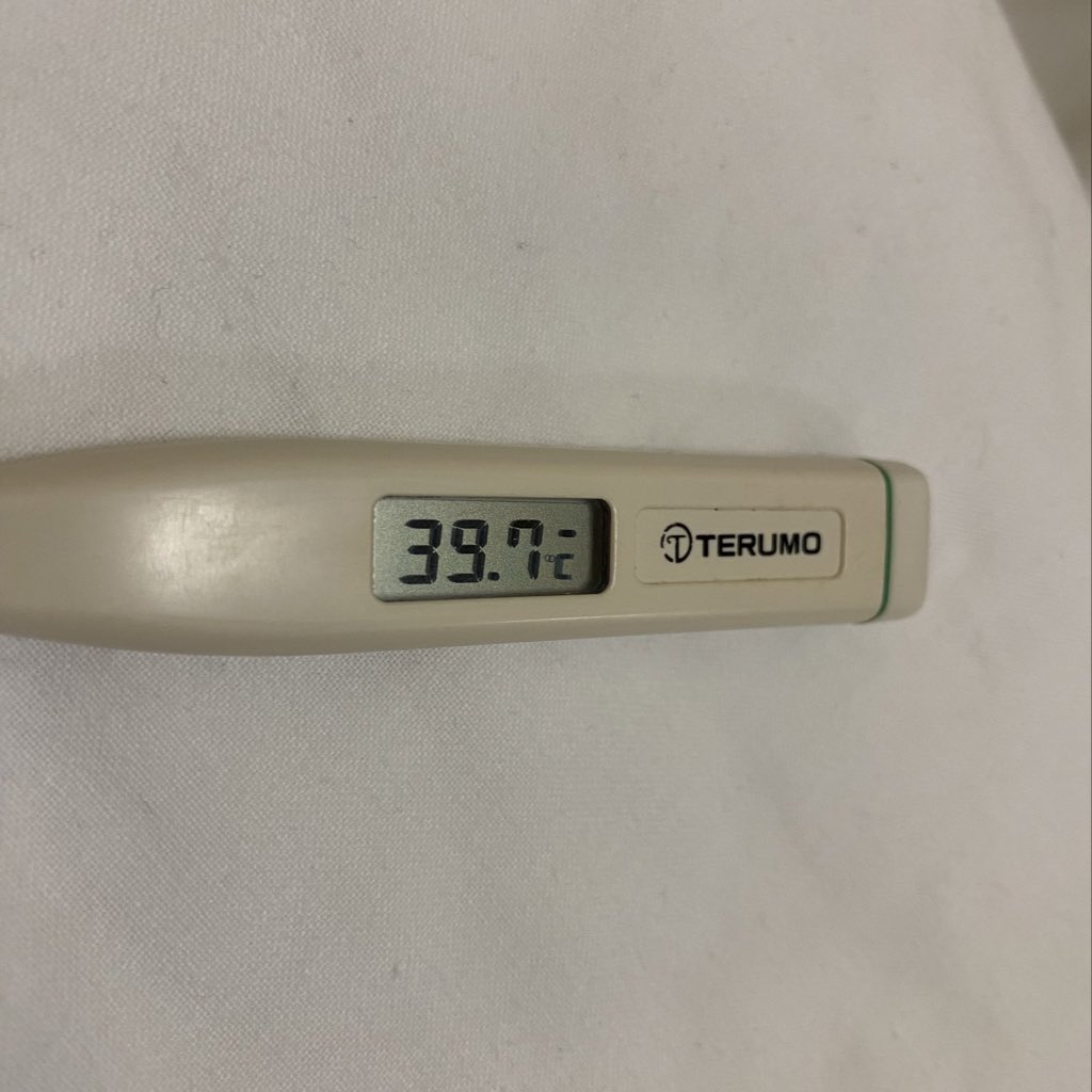 寒くて全身が抑えが効かないくらい震えてきて、我慢して寝て、起きたらこれ。泣き言いってごめんだけど、おいら頑張ってるよ😭パワー… https://t.co/rlMX7yclwI